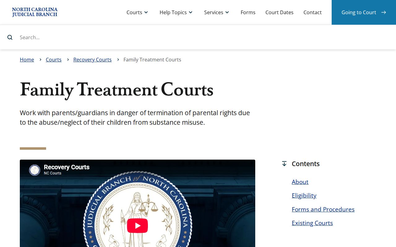 Red Springs court docket search family treatment court state program context